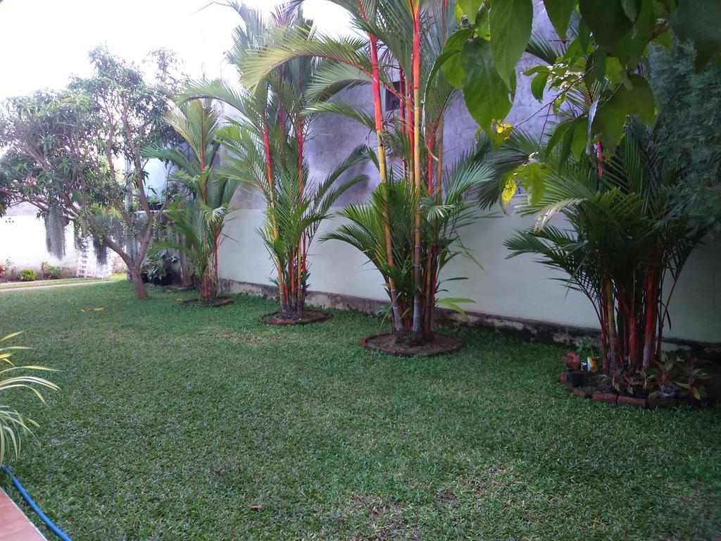 Illumination Stay Negombo Bagian luar foto
